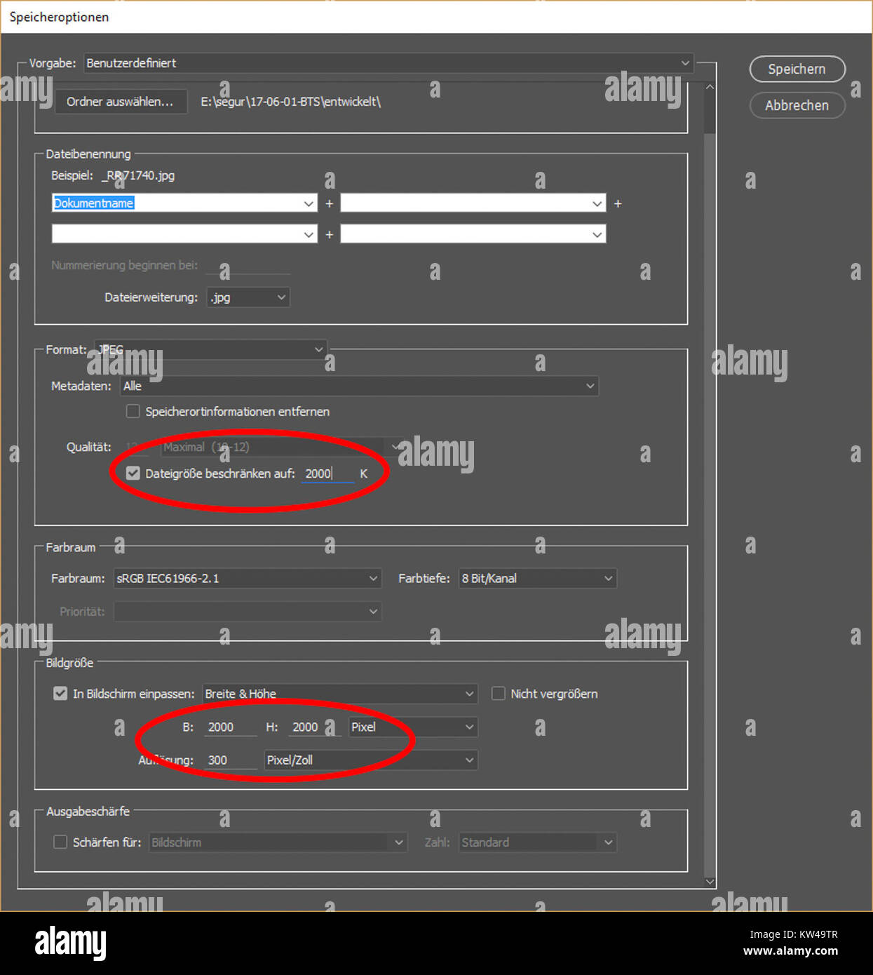 Dieser Screenshot erfasst ein mit Adobe Camera RAW verarbeitetes Bild und zeigt erweiterte Bildbearbeitungsfunktionen, die präzise Anpassungen von Belichtung, Farbe und Details ermöglichen. Stockfoto
