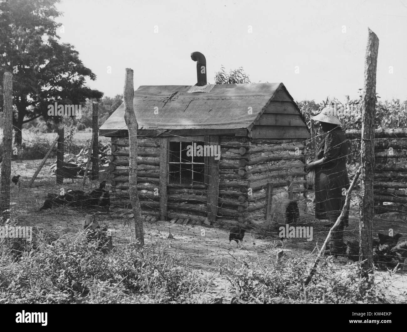 Eine Rehabilitation Patienten steht neben einem Chicken House sie selbst gebaut, über das Fenster von Ihrem eigenen Schlafzimmer, in Manning, Lee County, South Carolina, 1939. Von der New York Public Library. Stockfoto