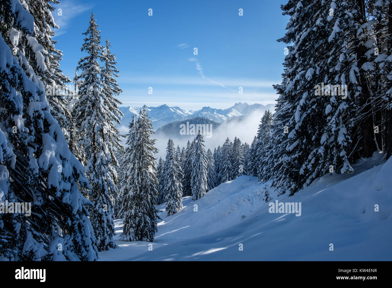 Skitouren in den Allgäuer Alpen bei Oberstdorf auf einem schönen bluebird Tag im Winter Stockfoto