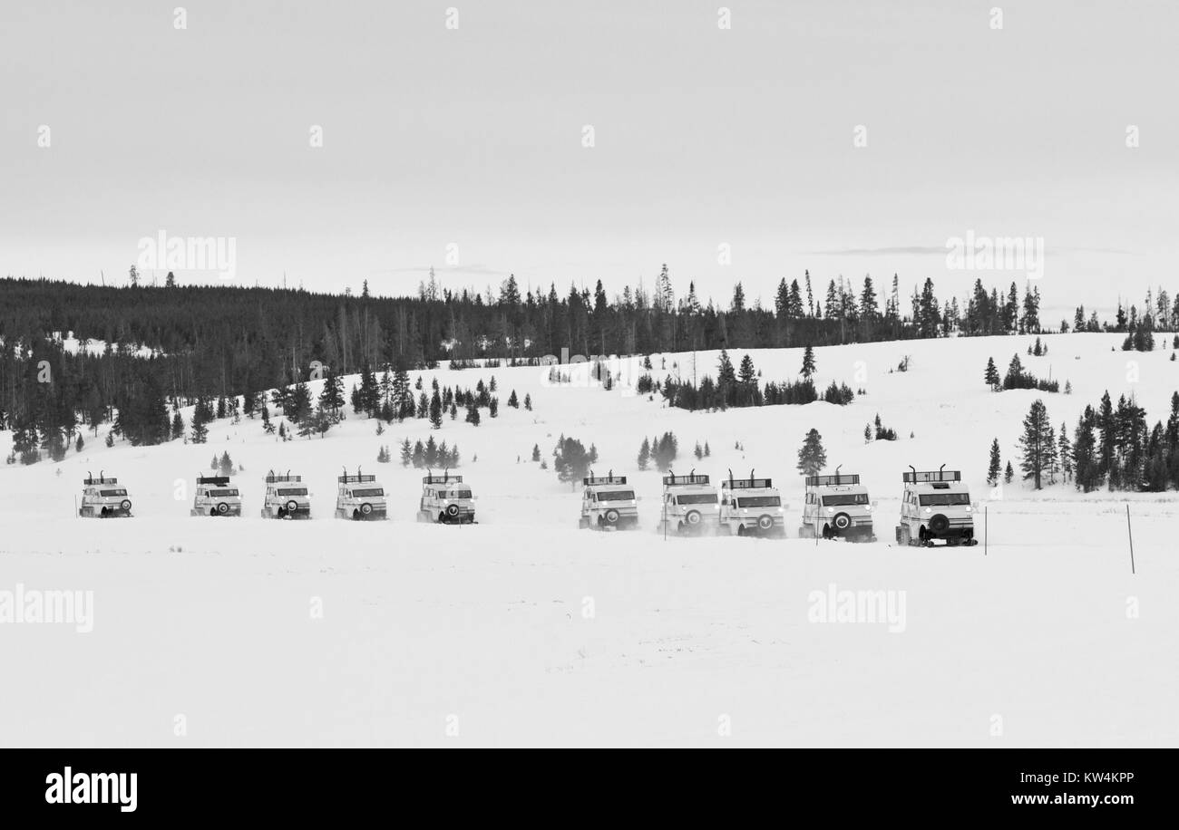 Xanterra Bombardier snowcoaches am Swan Lake Flats, Yellowstone National Park, Wyoming, 2016. Bild mit freundlicher Genehmigung von Jim Peaco/Yellowstone National Park. Stockfoto