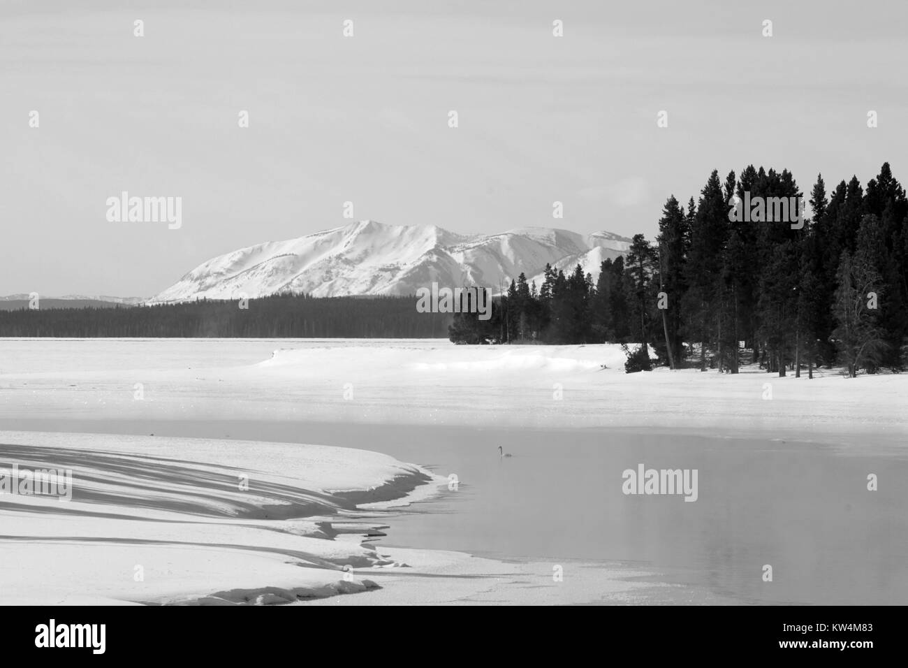 Yellowstone Lake outlet mit Mt, Februar, 2015. Sheridan im Hintergrund, Yellowstone National Park, Wyoming. Bild mit freundlicher Genehmigung von Jim Peaco/Yellowstone National Park. Stockfoto