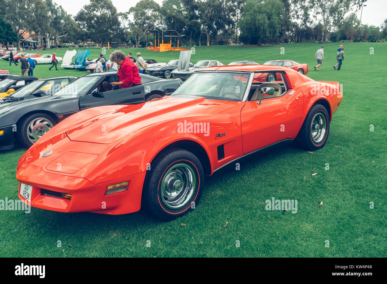Eine Corvette Car Show, South Australia, Australien. Stockfoto