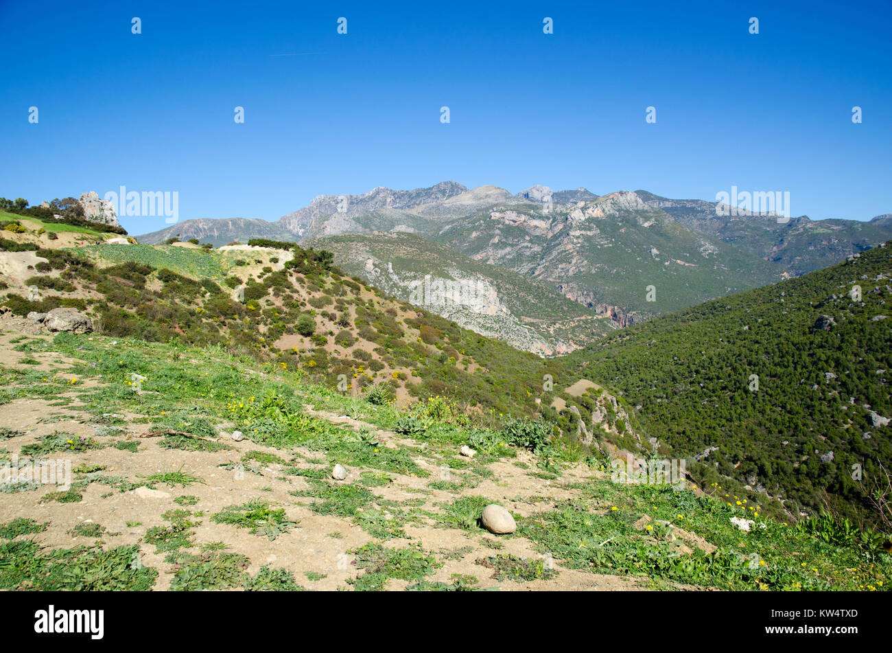 Rif-Gebirge, Marokko Stockfoto