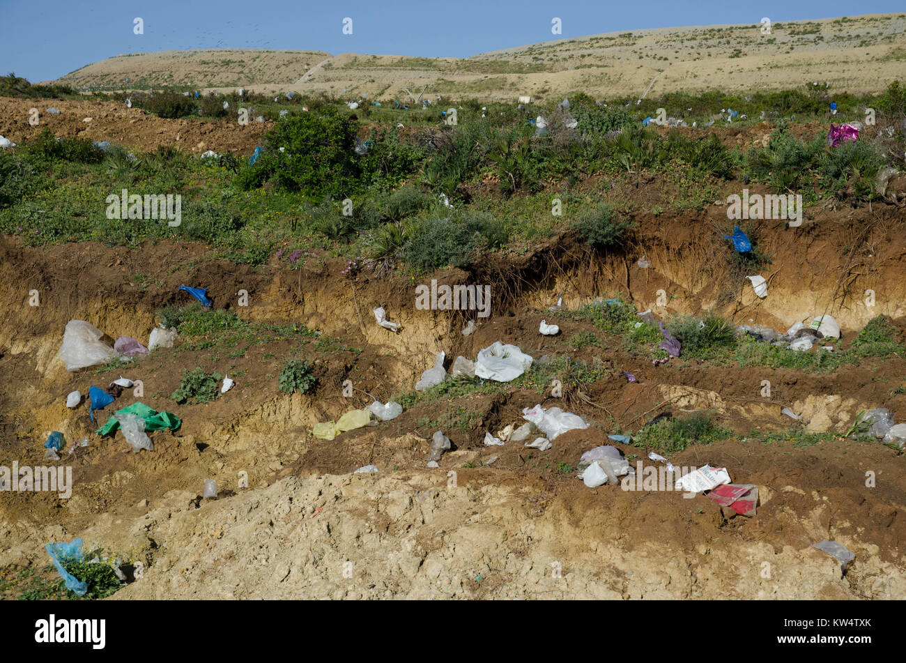 Kunststoffabfälle über grüne Land verstreut in Marokko Stockfoto