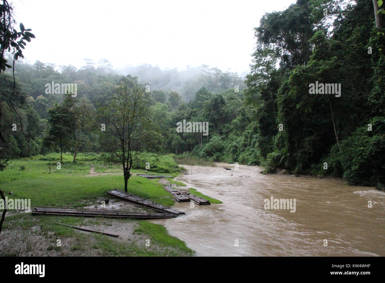 Fluss und Wald in der Nähe von Tam Nam Lod Höhle, Nordthailand Stockfoto