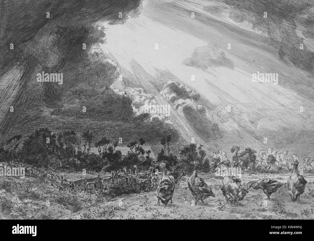 Ätzen von dem französischen Künstler Félix Bracquemond, Gänse in einem gelöschten bewaldeten Gebiet unter einem stürmischen, Cloud-Himmel, 1867. Von der New York Public Library. Stockfoto