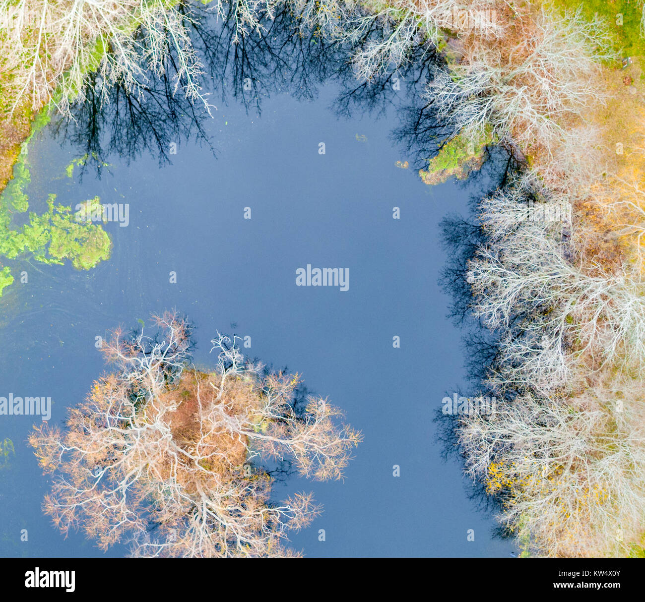 Luftaufnahme von einem kleinen Teich Stockfoto