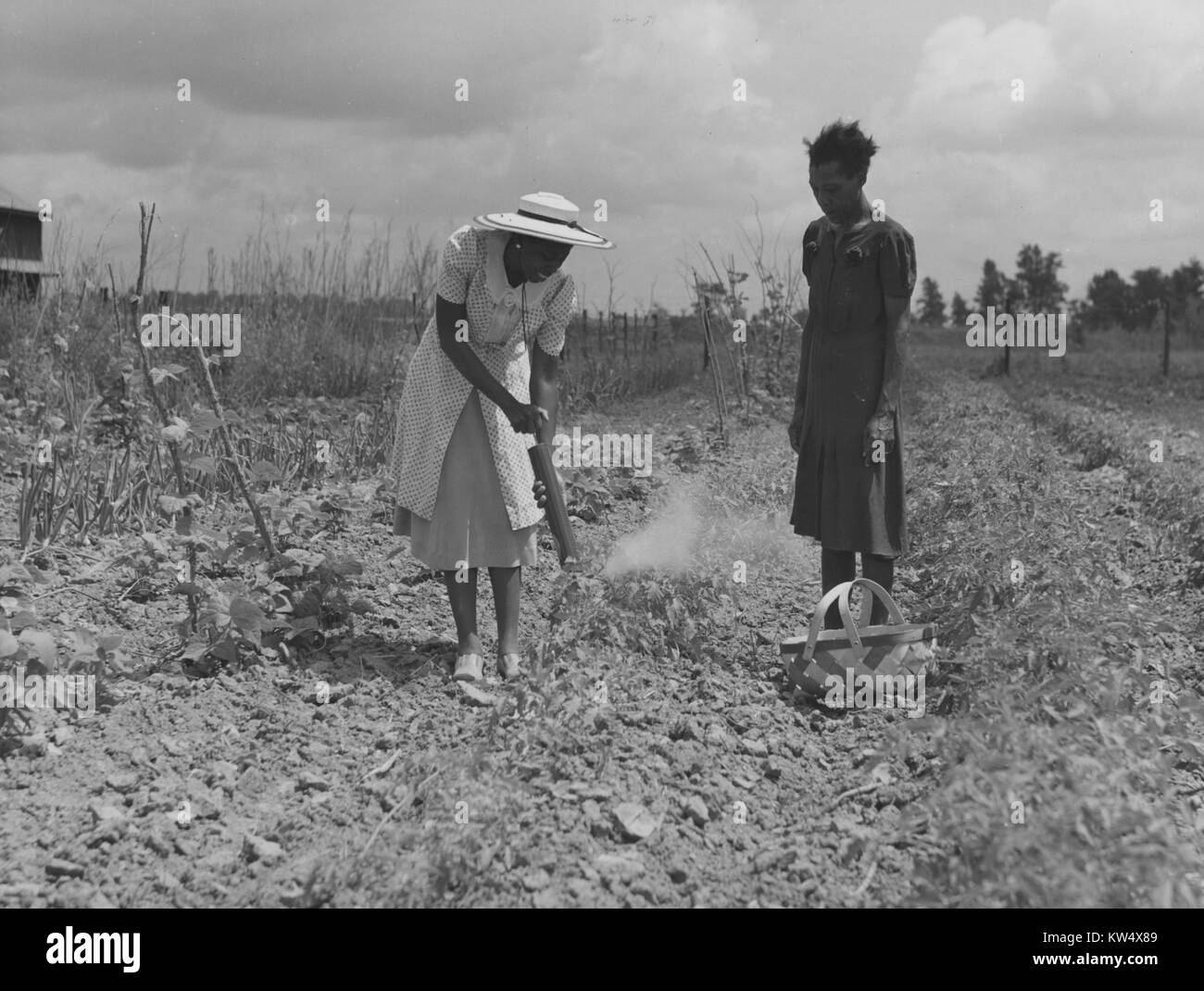 Rachel D Moore, Home Management Supervisor, die Demonstration in abstauben Pflanzen aus Insekten zu Caldoria Smith, La Delta Projekt, Thomastown, Louisiana, 1940. Stockfoto