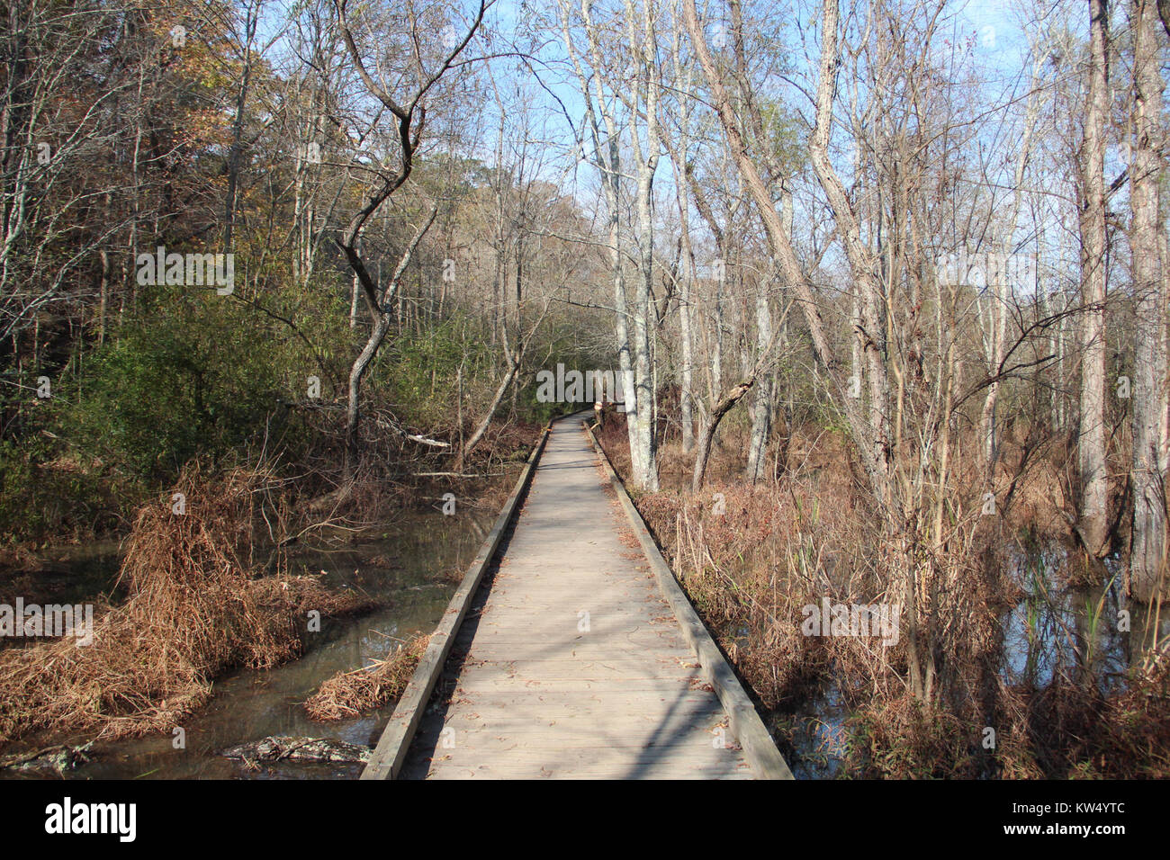 Ein Foto der Promenade auf dem Cochran Shoals Trail im Cobb County, aufgenommen im November 2017. Stockfoto