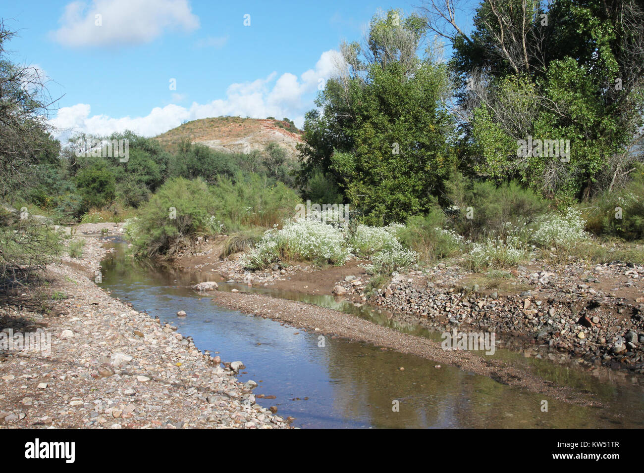 BLUE HAVEN ROAD, entlang Sonoita Creek, westlich von Patagonien, Az (9 23 10) (11) (5018847456) Stockfoto