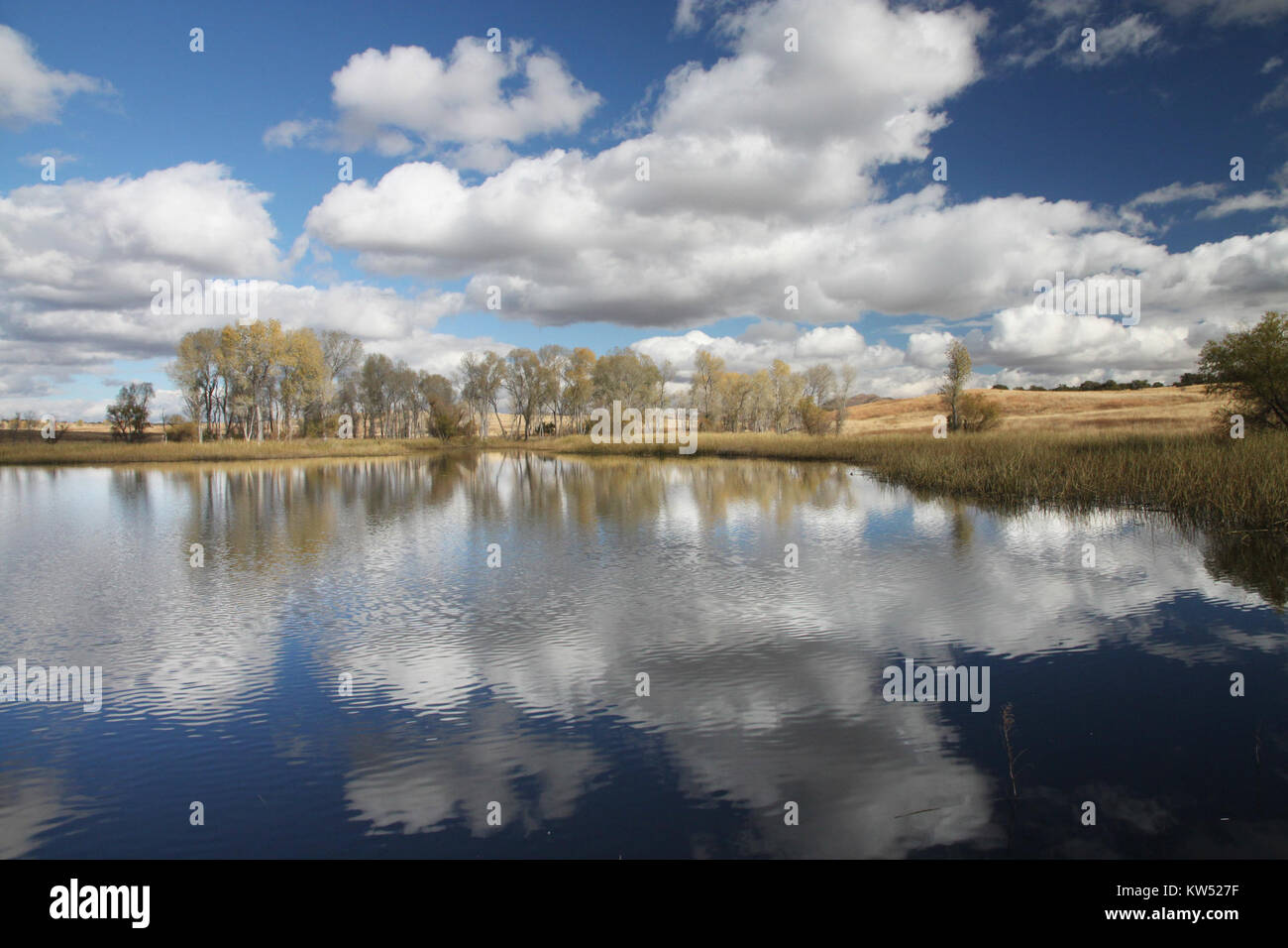 BOG LOCH, SE von Patagonien, SCC, Az (11 25 10), 01 (5207154551) Stockfoto