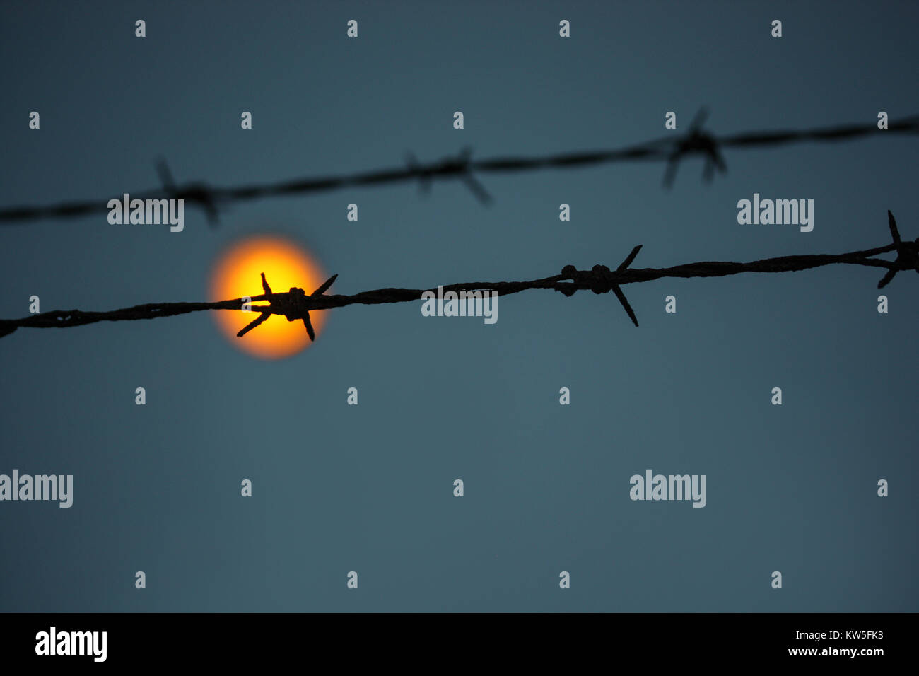 Die Sonne hinter Stacheldraht. Dunkel Zusammenfassung Hintergrund mit Blick auf Licht, Hoffnung und Freiheit hinter dem Zaun. Kleine Tiefe der Schärfe. Stockfoto