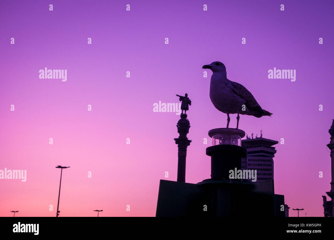 Christopher Columbus Statue und Seagull Silhouette über Sonnenuntergang und blaue Stunde klaren Himmel. Dies ist eines der ikonischen Bilder von Barcelona. Für Co geeignet Stockfoto