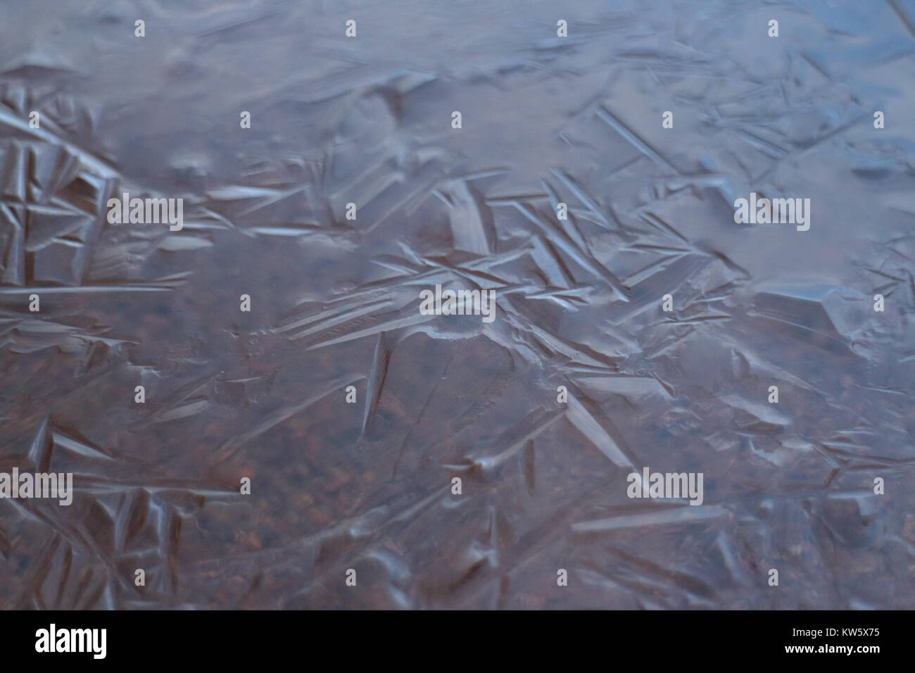 Dünnes Eis auf der Wasseroberfläche abstraktes Muster, Hintergrund Stockfoto