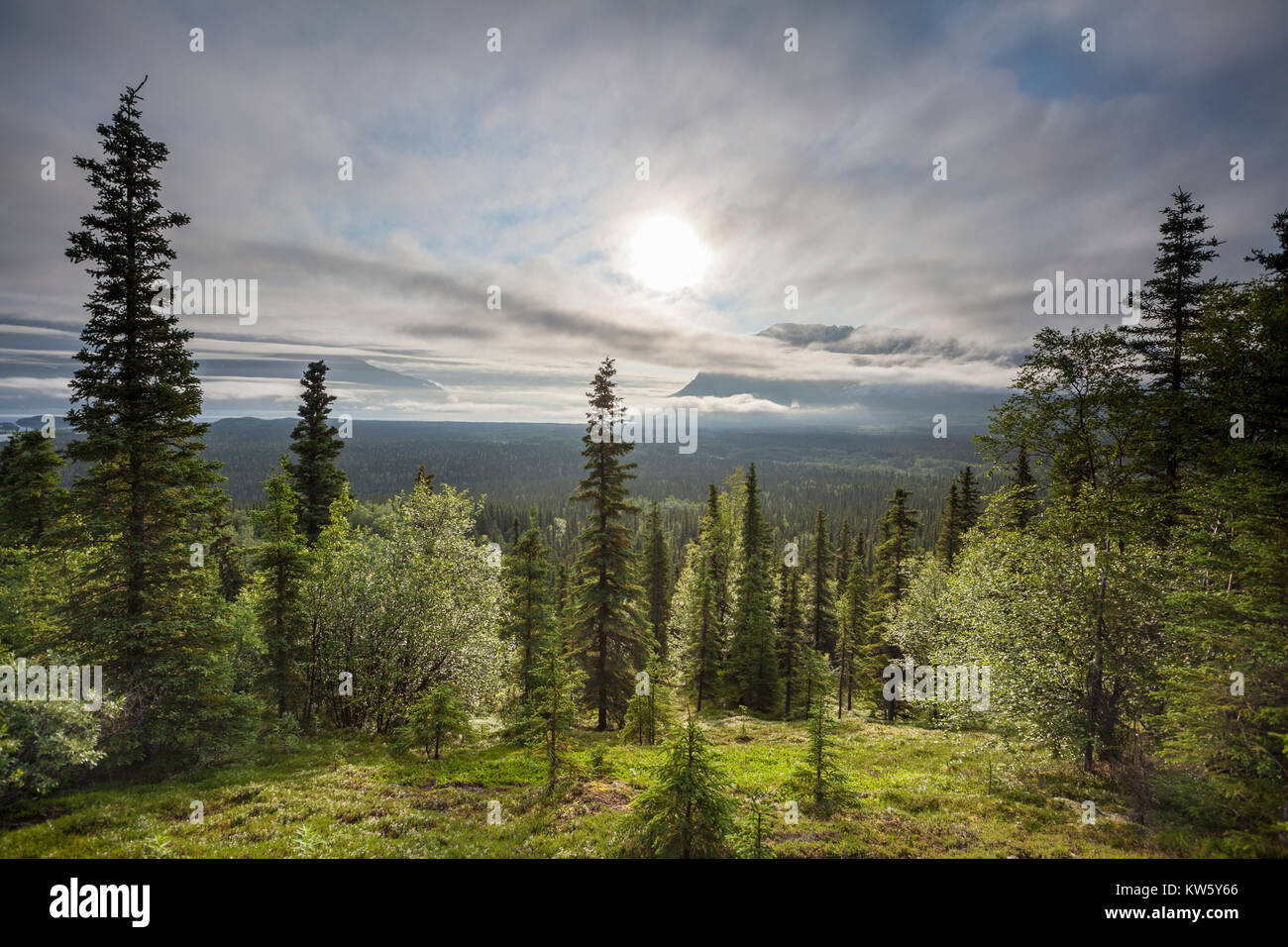 Tal der 10'000 raucht, Katmai National Park and Preserve, Alaska, USA Stockfoto