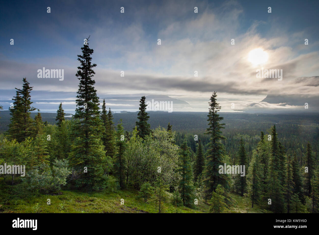 Tal der 10'000 raucht, Katmai National Park and Preserve, Alaska, USA Stockfoto