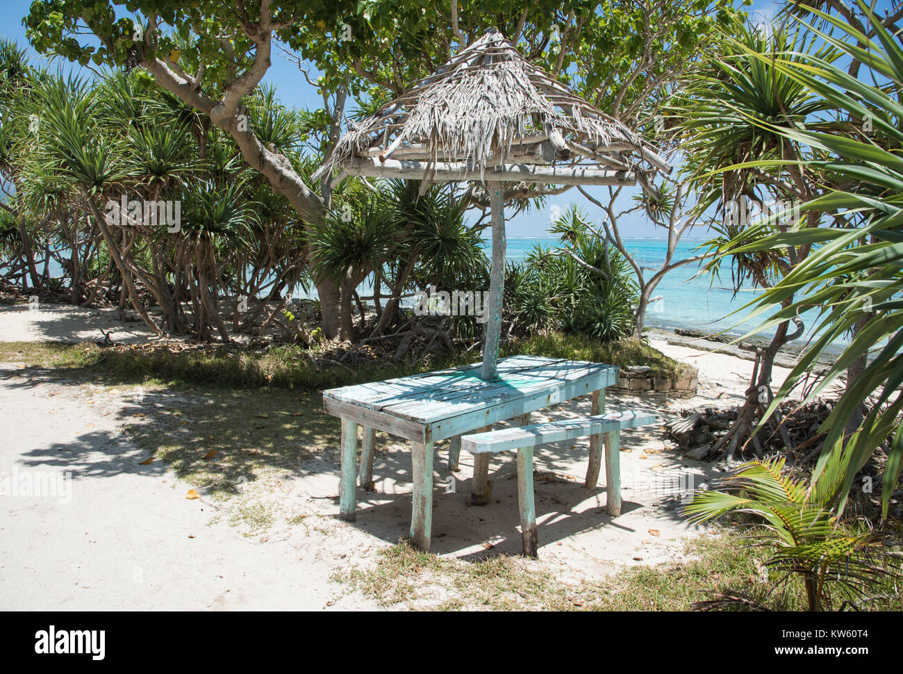 Rustikales Picknick Tisch mit Strohdach Schatten und tropischen Flora auf dem Meer Strand bei Mystery Island, Vanuatu Stockfoto