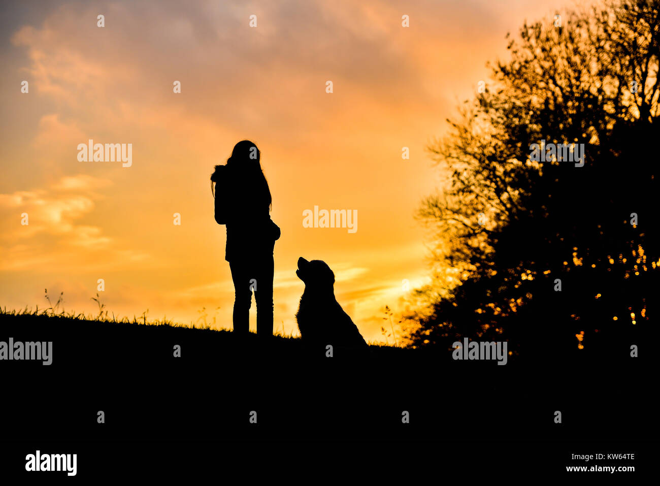 Eigentümer Mädchen und ihre Golden Retriever Hund Silhouetten bei Sonnenuntergang Stockfoto