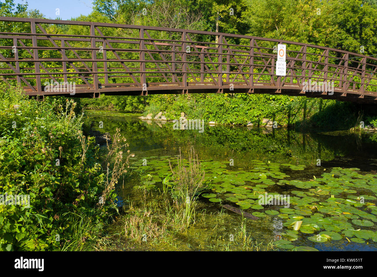 Eine Brücke über eine ruhige Creek in einem Stadtpark. An alle Grünen und warmen Farben eines späten Sommernachmittag. Stockfoto