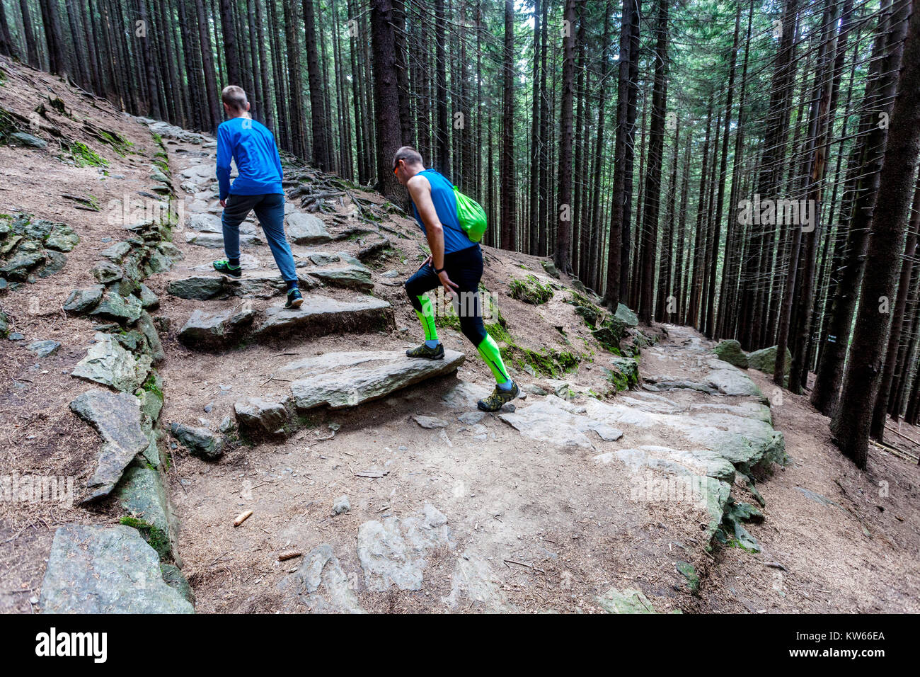 Vater und Sohn steigen auf den Waldweg im Nationalpark Riesengebirge, Ausflug zum Berg Snezka Tschechien Waldwanderung Stockfoto