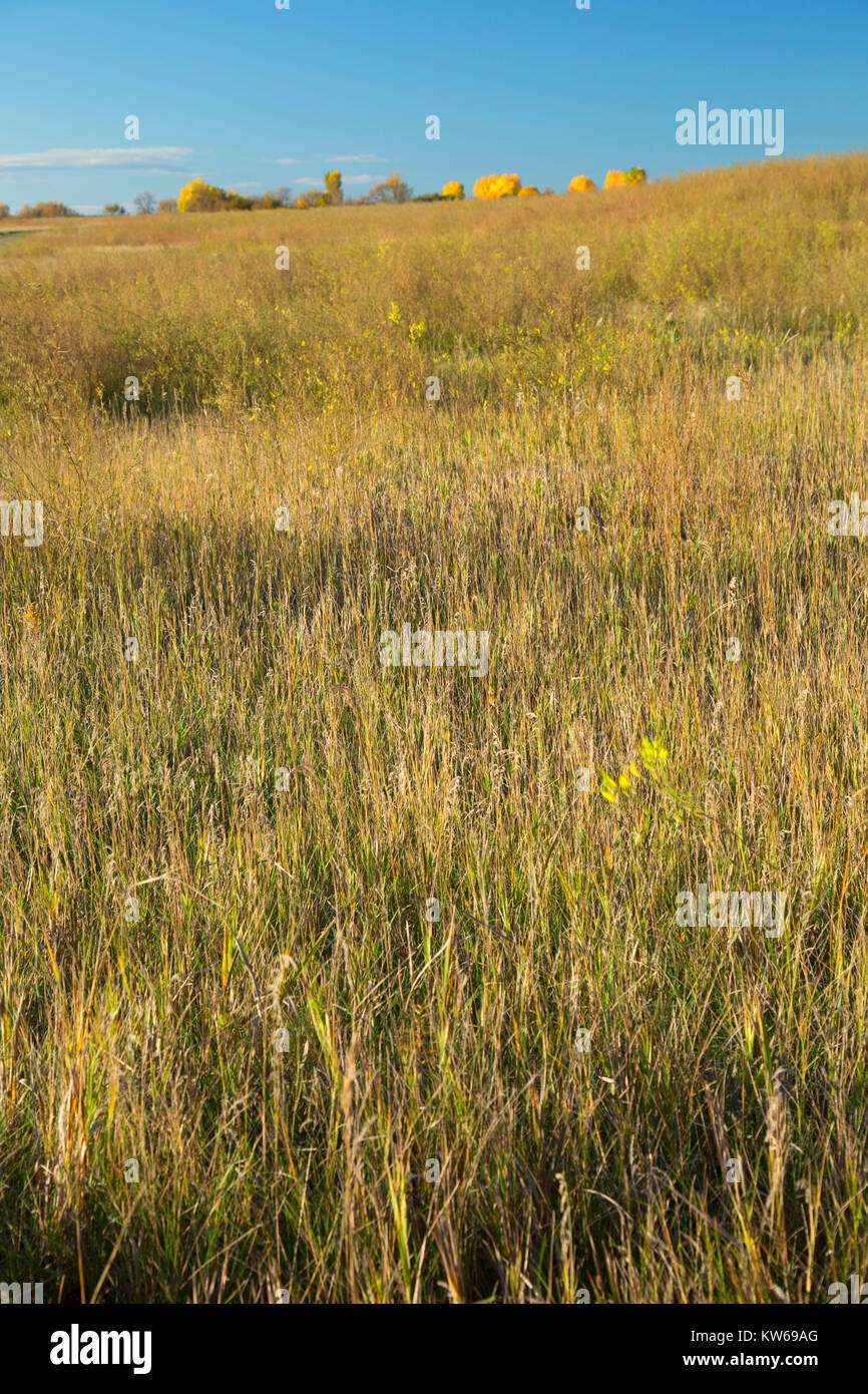 Prairie entlang Dorf Trail, Messer Fluss indischen Dörfern National Historic Site, Lewis und Clark National Historic Trail, North Dakota Stockfoto