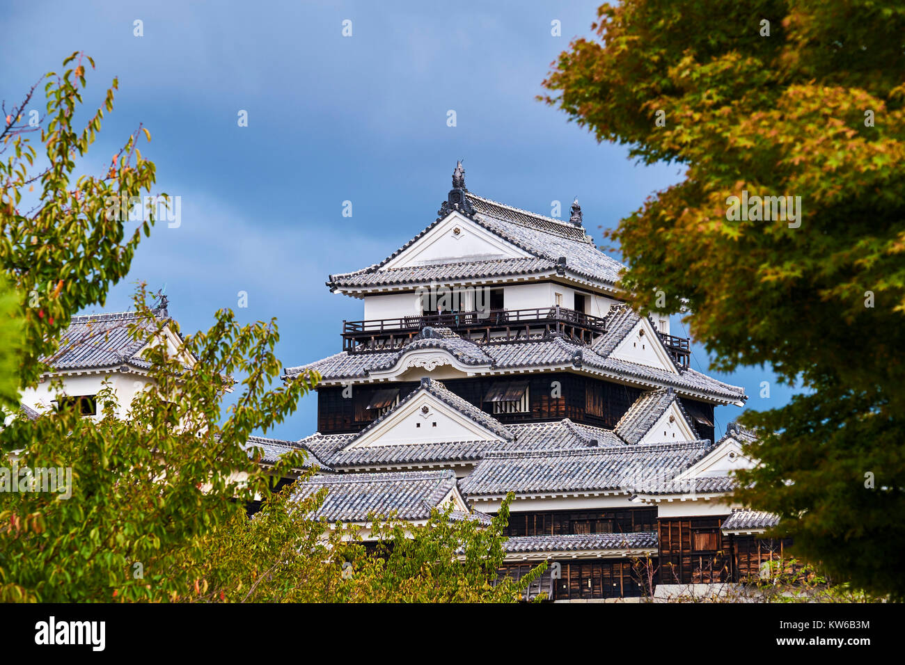 Japan, Insel Shikoku, Ehime region, Matsuyama, die Burg von Matsuyama-jo Stockfoto