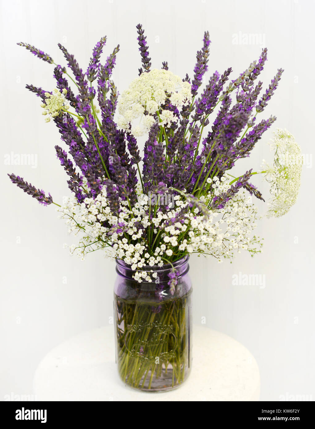 Canning Glas gefüllt mit Lavendel, Queen Ann's Lace Wildblumen und Baby's Atem. Stockfoto