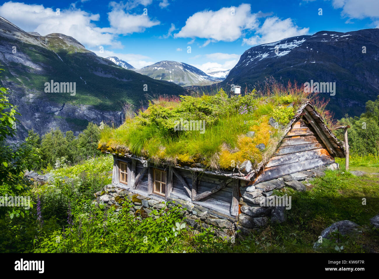 Das Gras-roofed Häuser in Norwegen Stockfoto