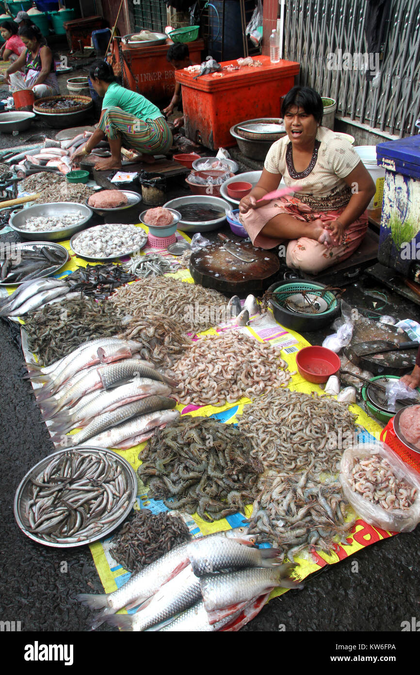 Fischmarkt auf der Straße in Yangon, Myanmar Stockfoto