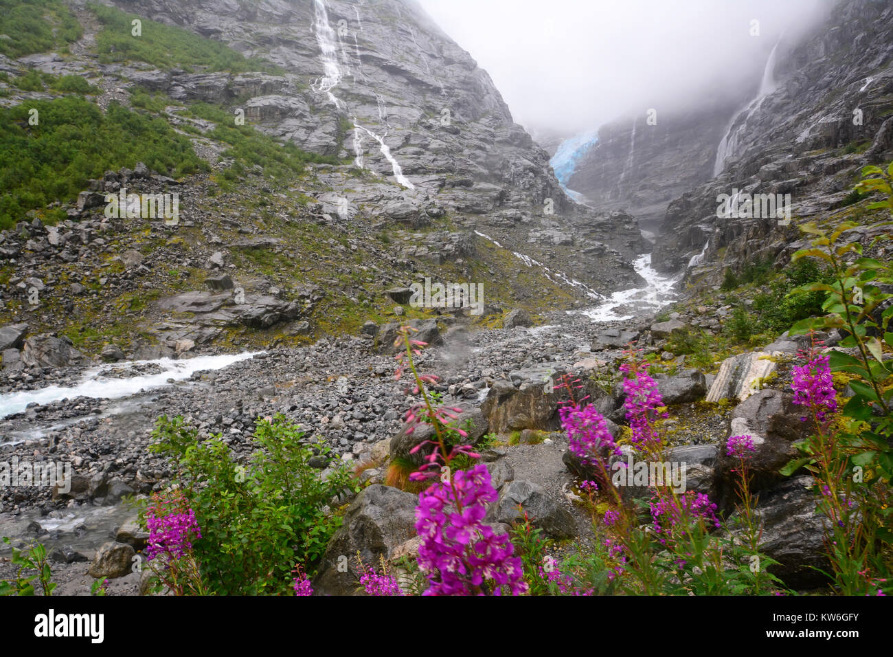 Gletscher Boyabreen, Norwegen Stockfoto