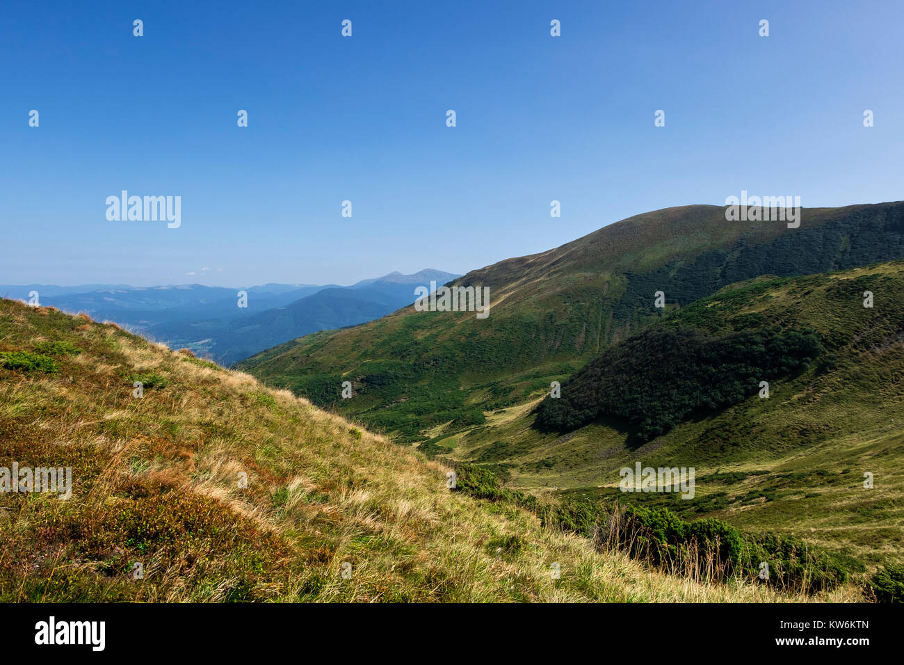 Landschaft der Karpaten (Ukraine, Karpaten, Dragobrat) Stockfoto