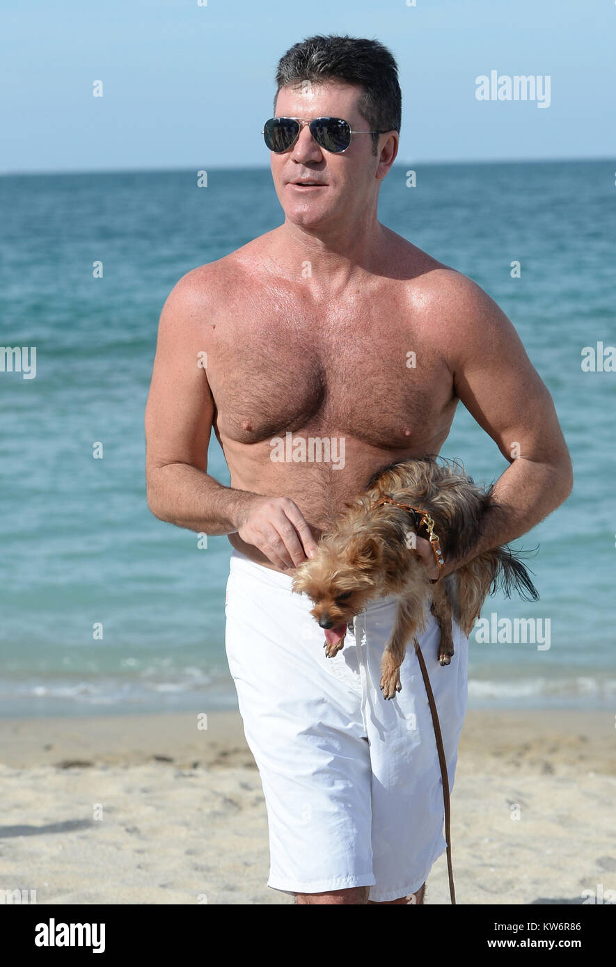 MIAMI, FL - 24. Februar: Neue Eltern Simon Cowell und Lauren Silverman genießen Sie Miami Beach mit ihrem Sohn Eric Cowell und ihren Yorkshire Terrier, Sqiddly und Diddly. Cowell und Silverman begrüßte ihre Sohn am Valentinstag vor 10 Tage. Das Paar wurde auch eine Warnung von der Polizei ausgestellt, da es keine Hunde am Strand in Miami erlaubt, am 24. Februar 2014 in Miami, Florida Personen: Simon Cowell Stockfoto