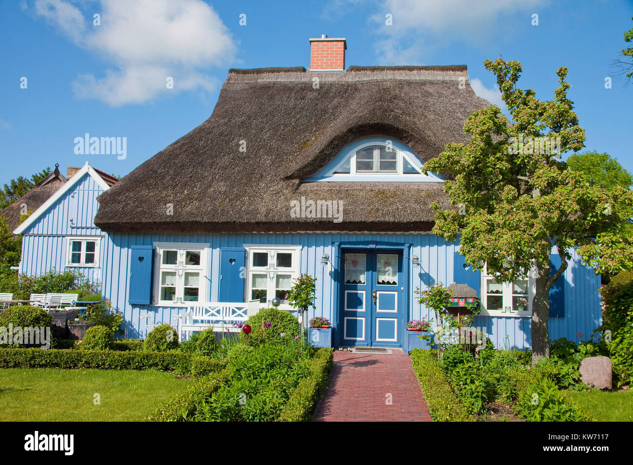 Typischen strohgedeckten Haus im Dorf Geboren am Darss, Fischland, Mecklenburg-Vorpommern, Ostsee, Deutschland, Europa Stockfoto