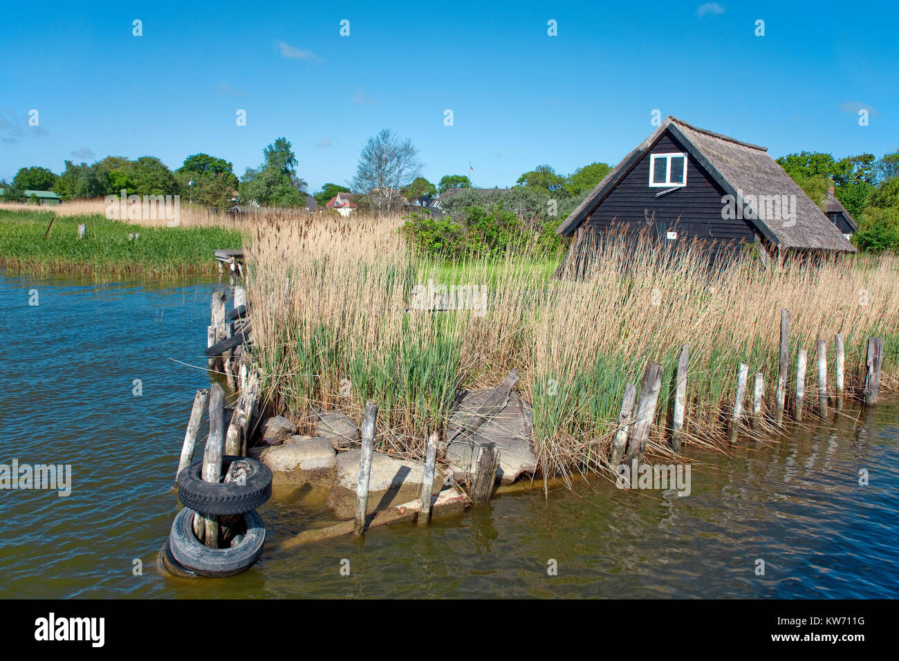 Strohgedeckte Haus im Dorf Geboren am Darss, Fischland, Mecklenburg-Vorpommern, Ostsee, Deutschland, Europa Stockfoto