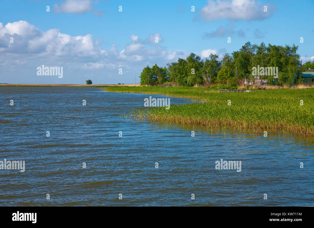 Landschaft am Koppelstrom, Dorf Geboren am Darss, Fischland, Mecklenburg-Vorpommern, Ostsee, Deutschland, Europa Stockfoto