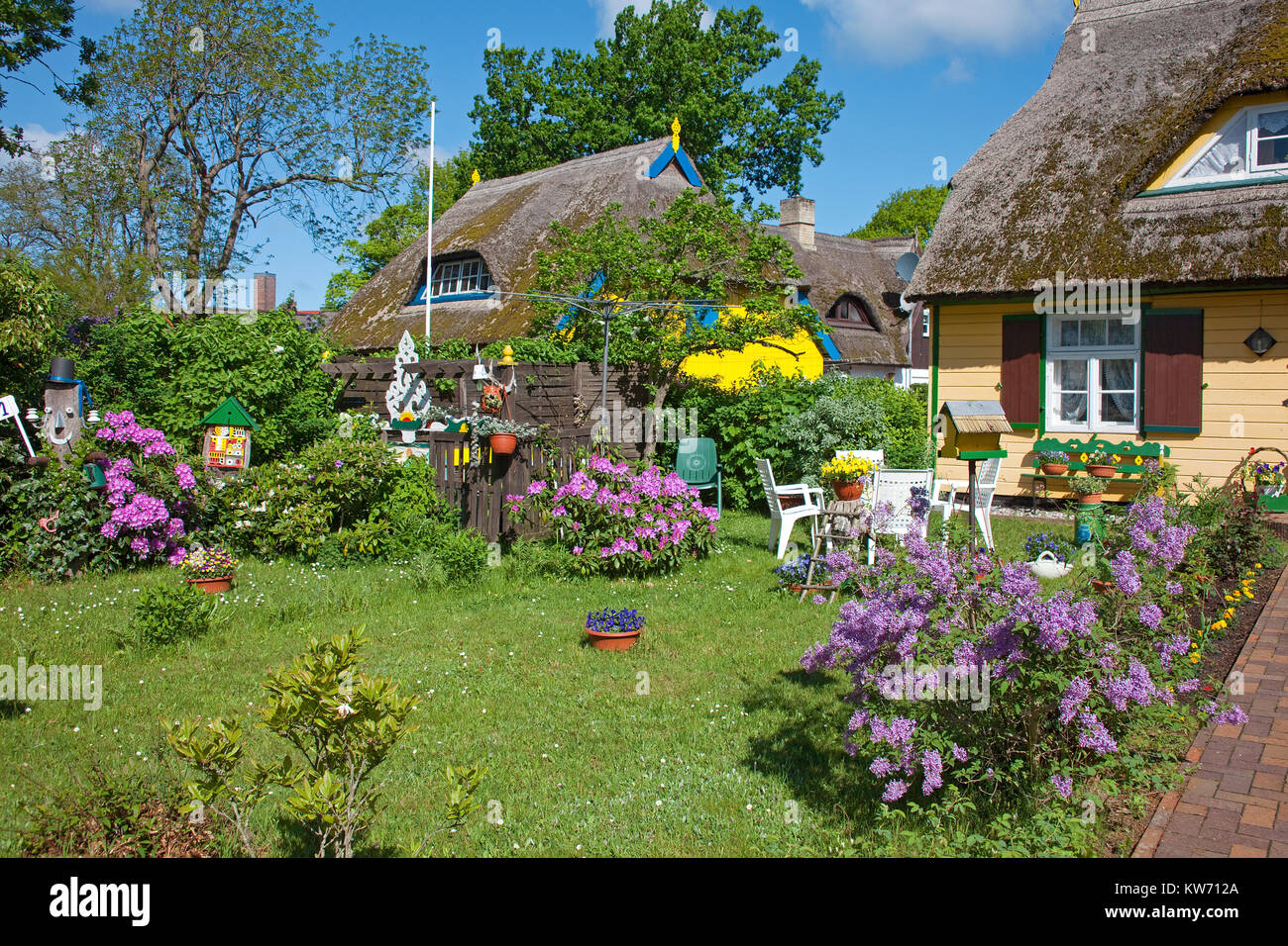 Garten und strohgedeckte Haus im Dorf Geboren am Darss, Fischland, Mecklenburg-Vorpommern, Ostsee, Deutschland, Europa Stockfoto