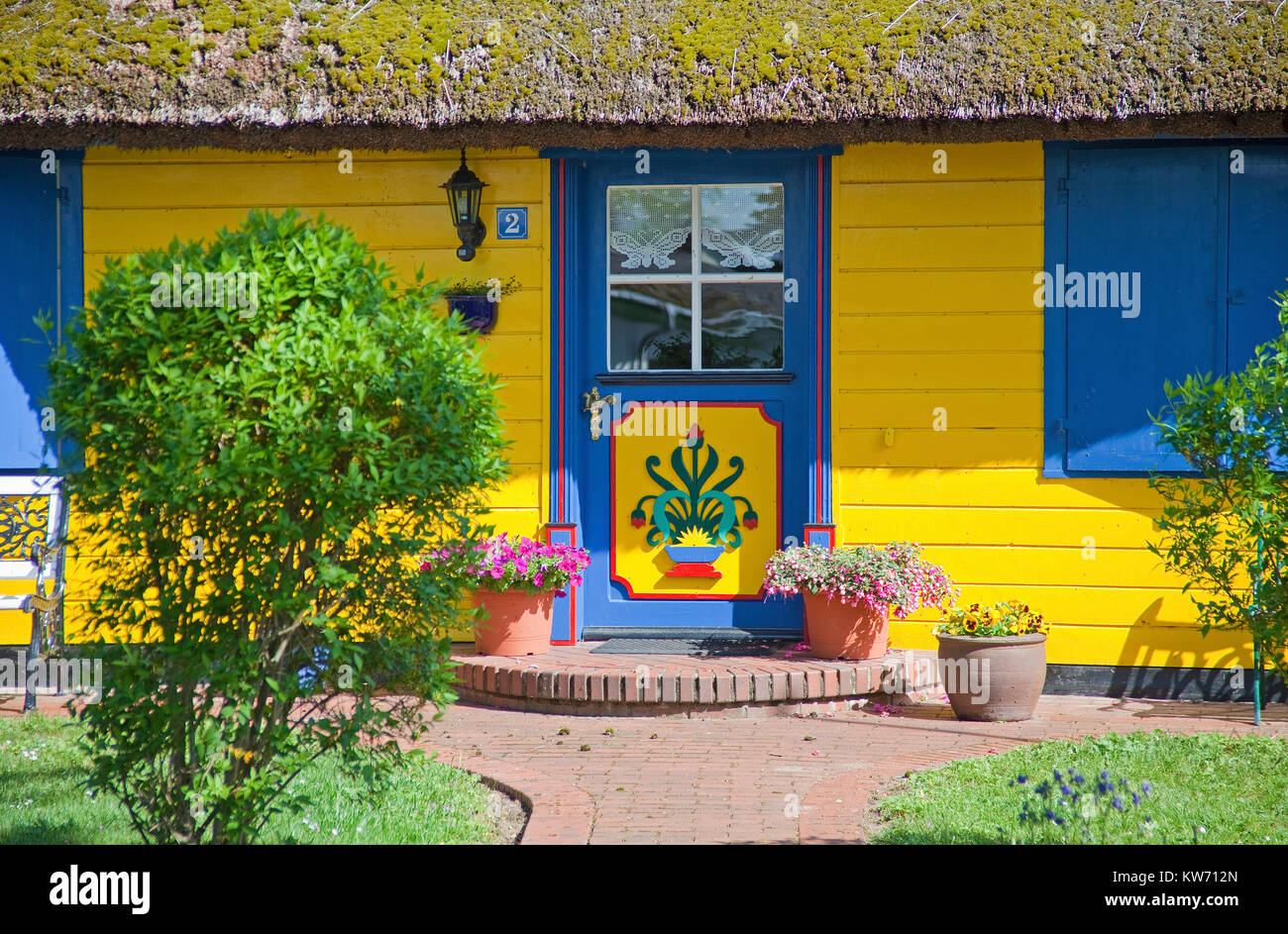 Bunt bemalten Frontdoor von einem strohgedeckten Haus im Dorf Geboren am Darss, Fischland, Mecklenburg-Vorpommern, Ostsee, Deutschland, Europa Stockfoto