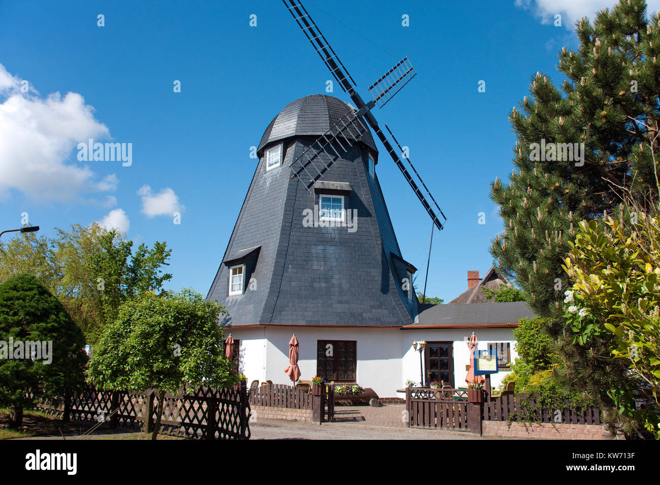 Restaurant und Cafe Muehlenstube" in einer alten Windmühle, Dorf Geboren am Darss, Fischland, Mecklenburg-Vorpommern, Ostsee, Deutschland, Europa Stockfoto