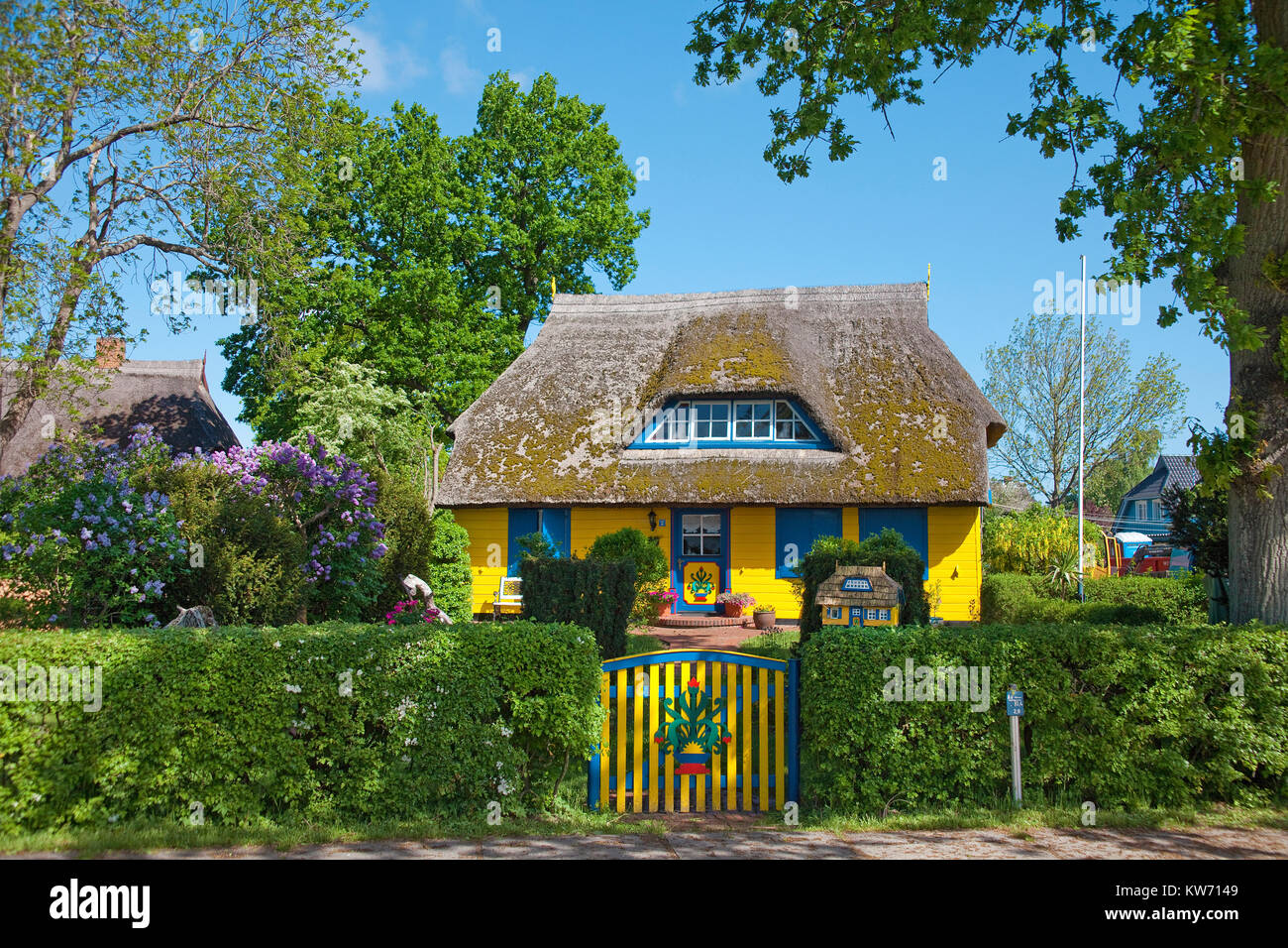Traditionelle strohgedeckte Haus im Dorf Geboren am Darss, Fischland, Mecklenburg-Vorpommern, Ostsee, Deutschland, Europa Stockfoto