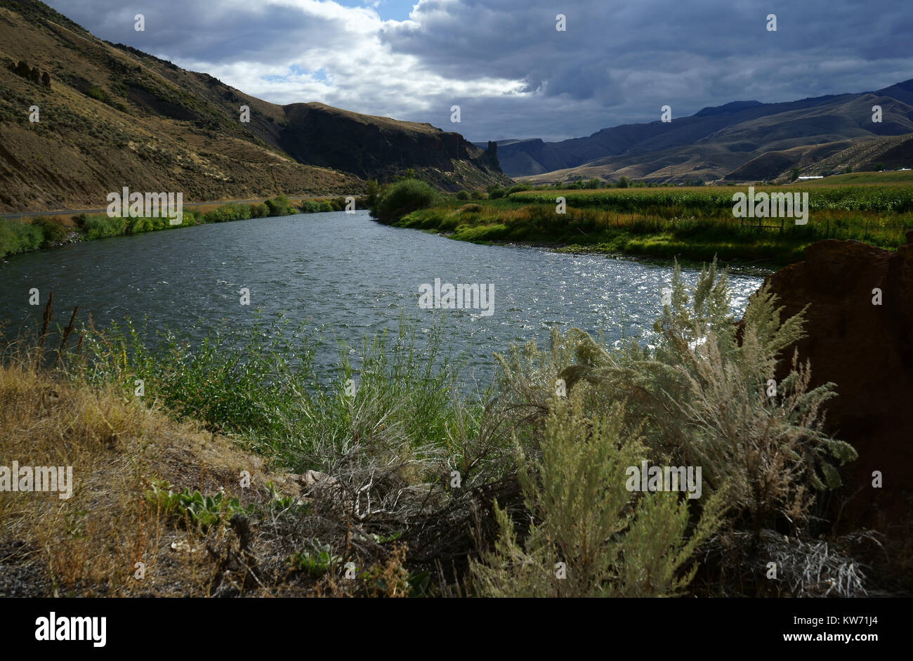 Bitterrroot Fluss, Highway 93 in der Nähe von Victor, Bitterroot Ntl. Wald, Montana, USA Stockfoto