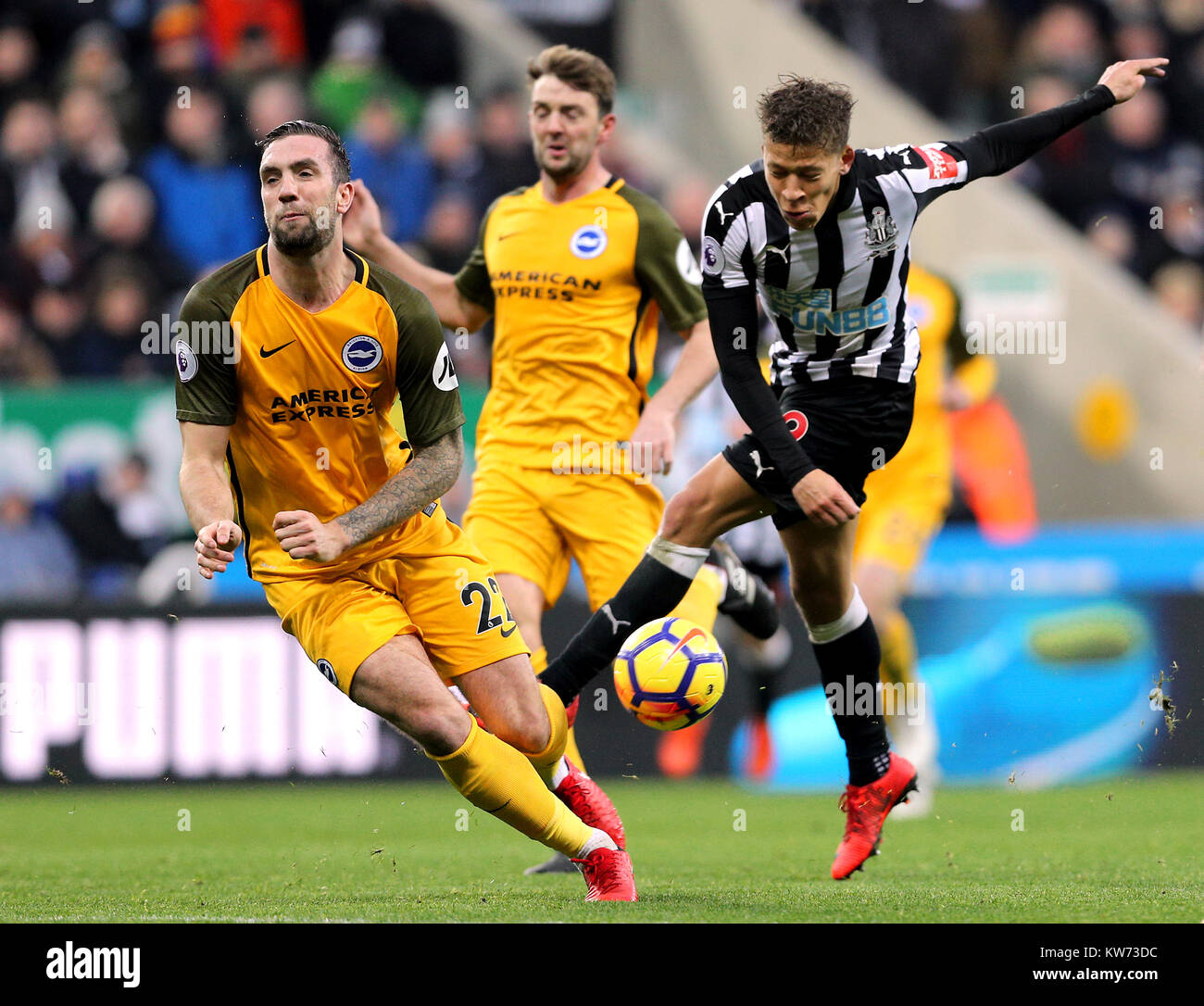 Dwight gayle von newcastle united Fotos und Bildmaterial in hoher