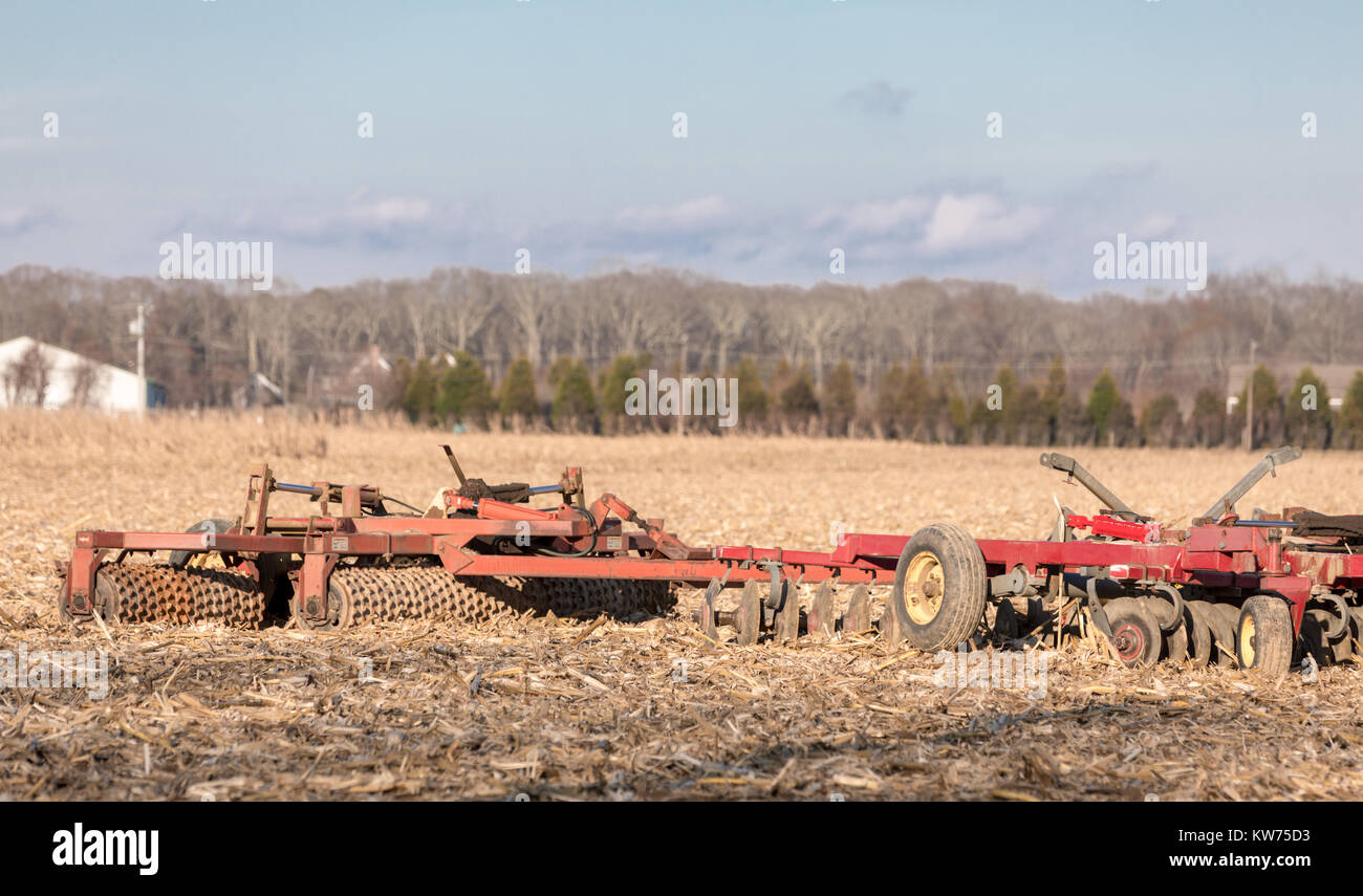 Pflug sitzt in einem Maisfeld in East Hampton, New York Stockfoto