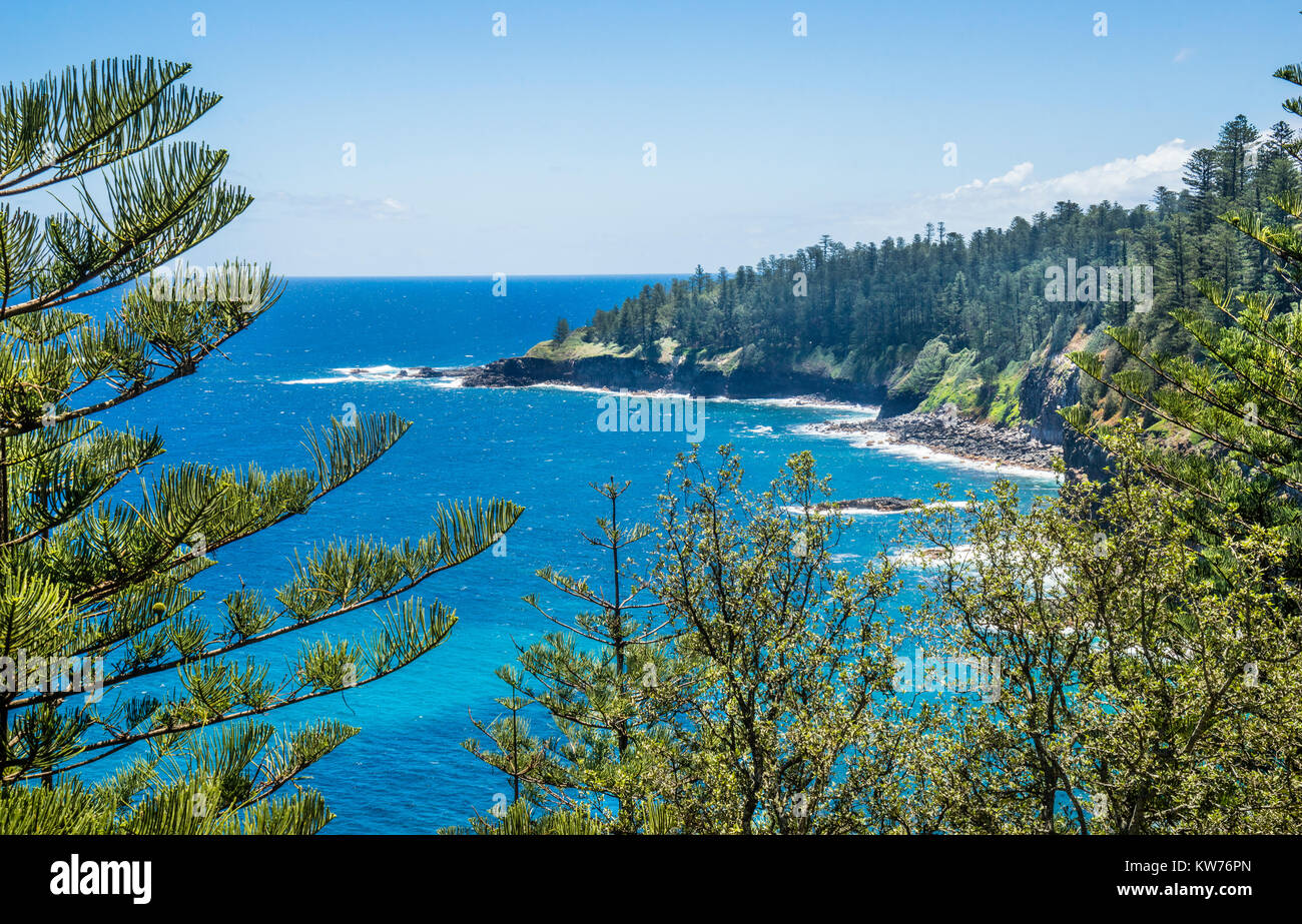 Norfolk Island, Australische externe Gebiet, der Norfolk Insel Pine verzierte Küste von Ross finden gesehen Stockfoto