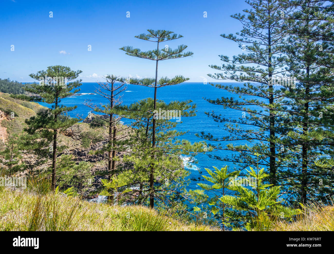 Norfolk Island, Australische externe Gebiet, Insel Küste am Grabstein finden Stockfoto