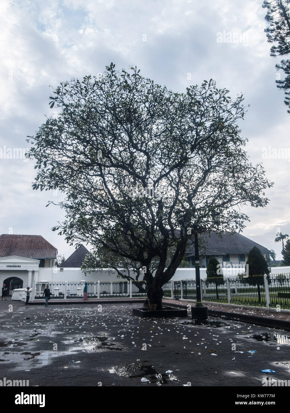 Yogyakarta, Indonesien. Dezember 20, 2017. Ein Baum vor dem Eingang des Forts Vrederburg in Yogyakarta, Indonesien. Stockfoto