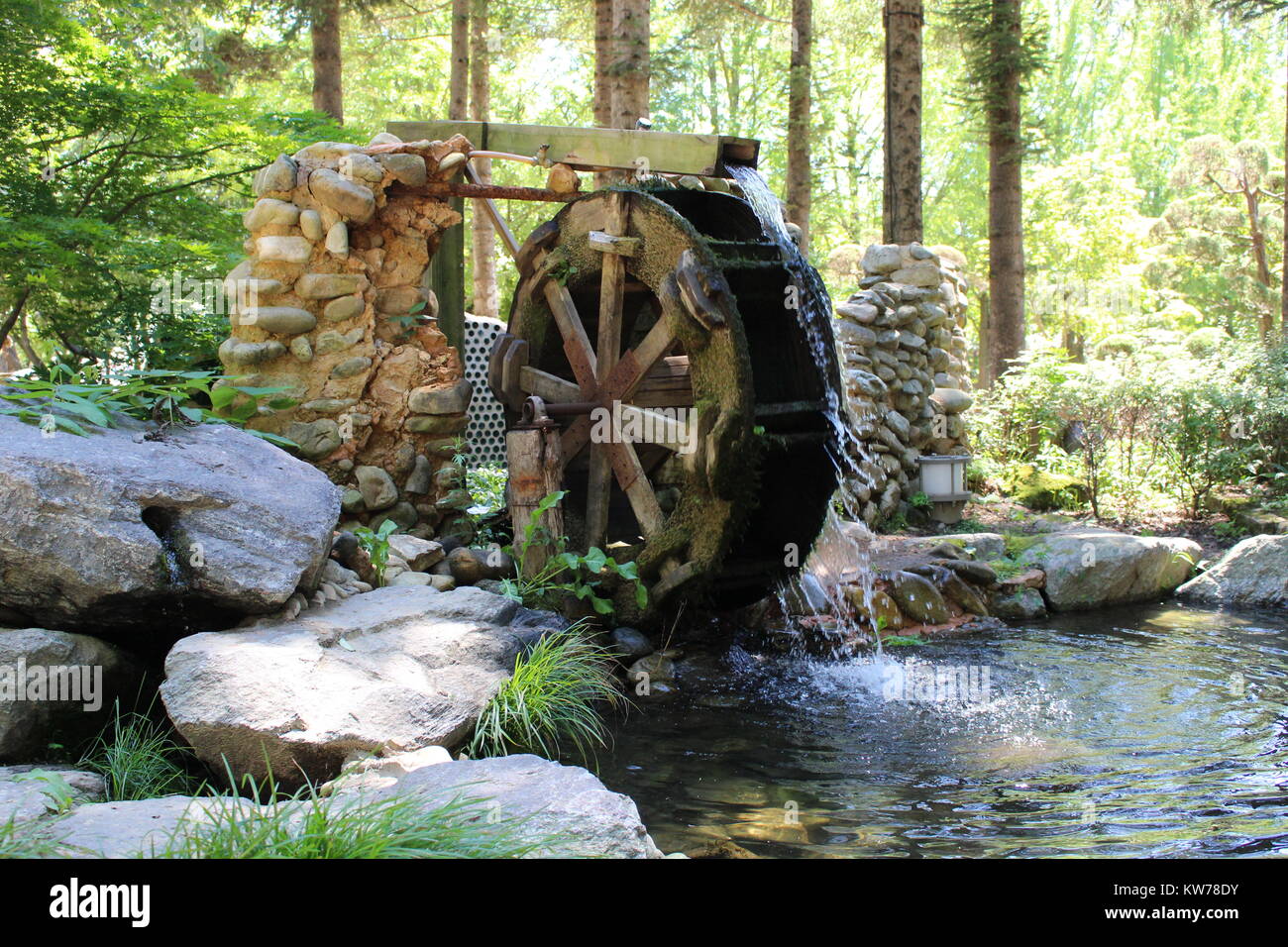 Wasser Rad im Wald Stockfoto