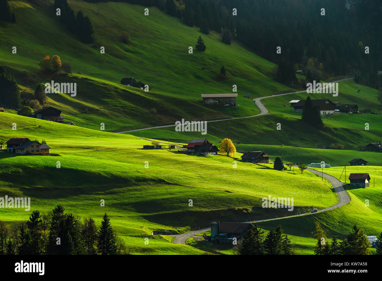 Schöne harte Schatten am grünen Hang des alpinen Hill, schweizer Toskana, Schweiz Stockfoto