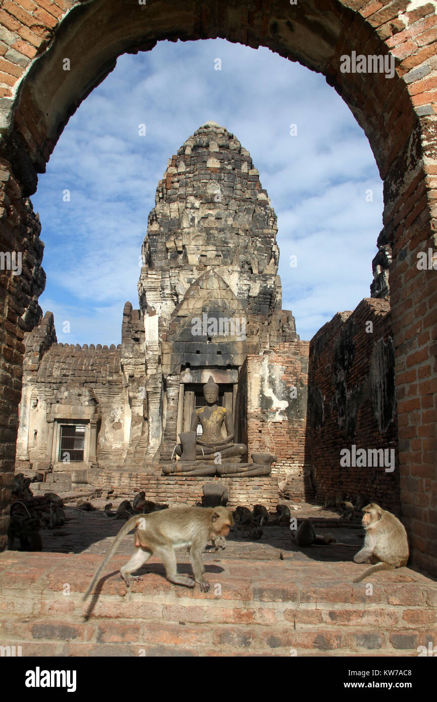 Affen und alten Prang in Phra Prang Sam Yot, Lop Buri, Thailand Stockfoto