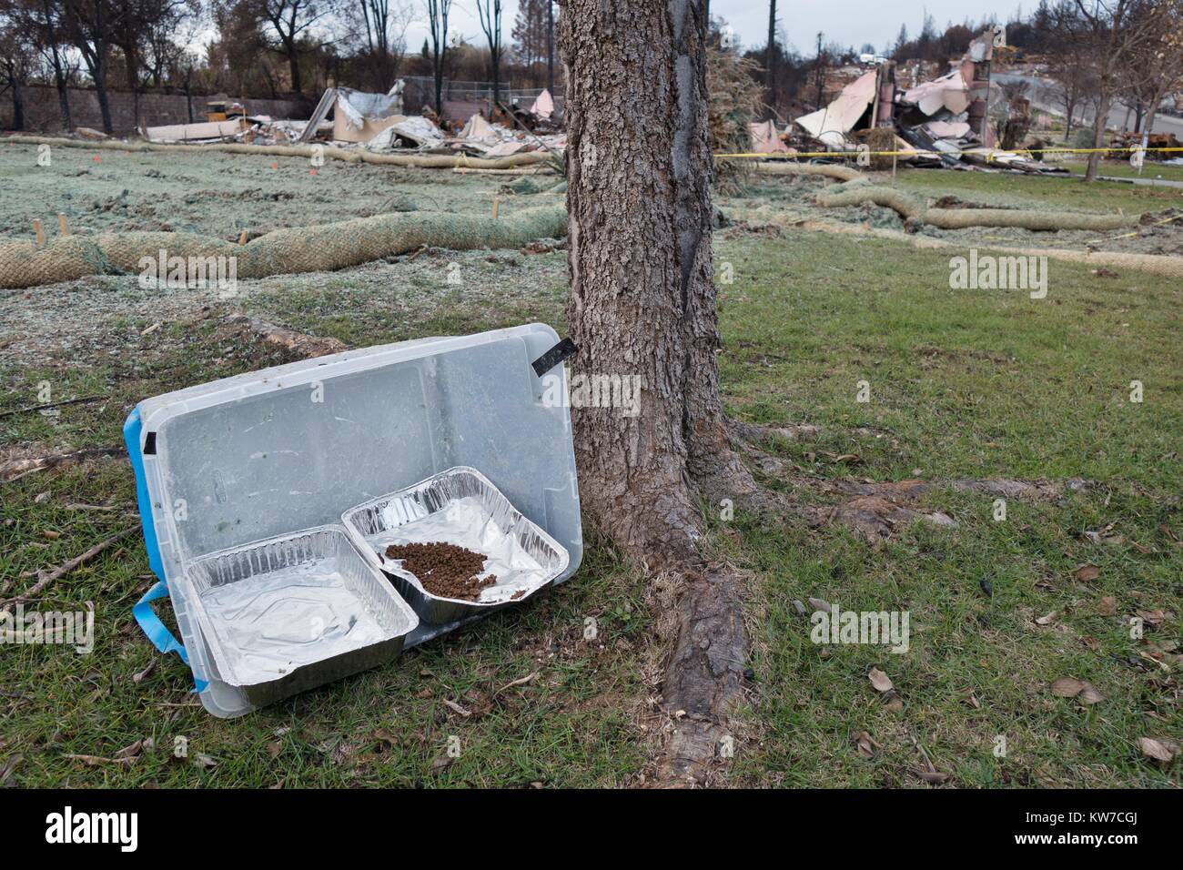 Futter und Wasser, links unter der Schaden von der Tubbs wildfire in Santa Rosa, Kalifornien, USA. Stockfoto