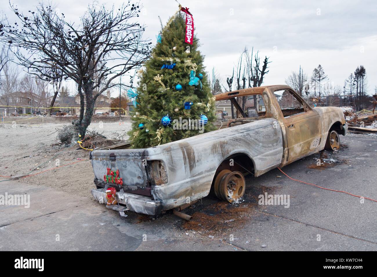 Ein geschmückter Weihnachtsbaum in der Rückseite eines verbrannten Lkw, zu den Schäden, die aus der Tubbs wildfire in Santa Rosa, Kalifornien, USA. Stockfoto